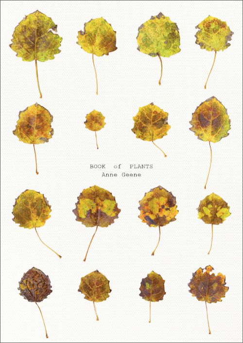Book Of Plants (new edition) - Anne Geene