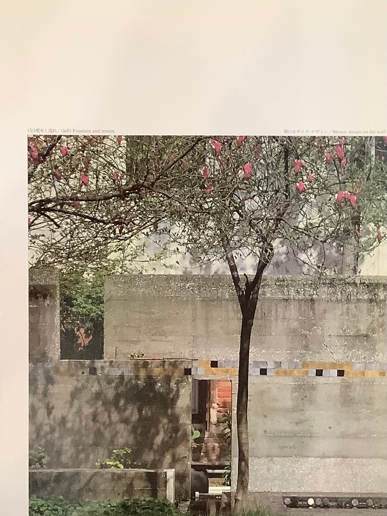 Carlo Scarpa March 2025 Special Issue (Reprint a+u 85:10)