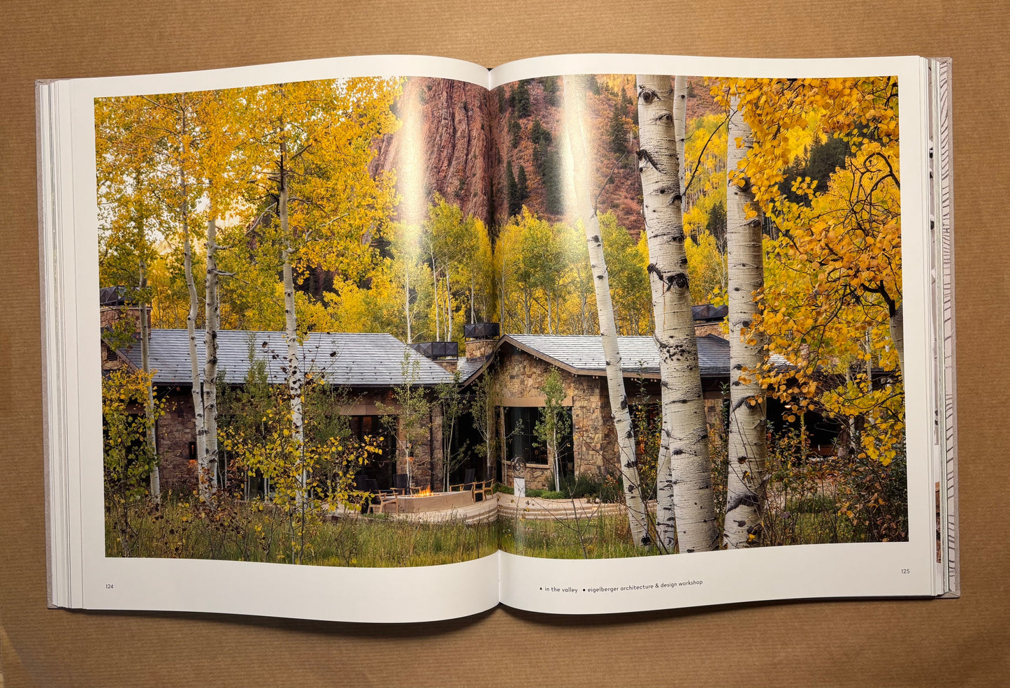 Private Aspen: Modernism in the Mountains