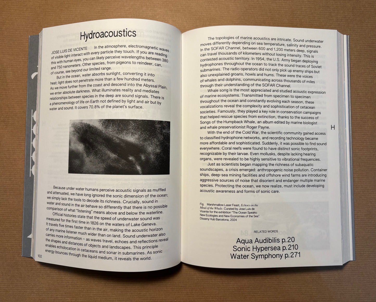 100 Words for Water: A Projective Ecosocial Vocabulary