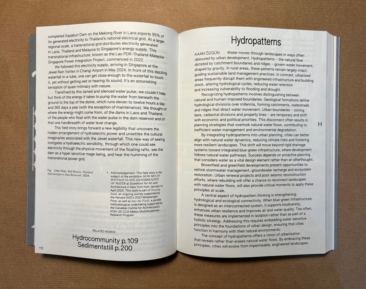 100 Words for Water: A Projective Ecosocial Vocabulary