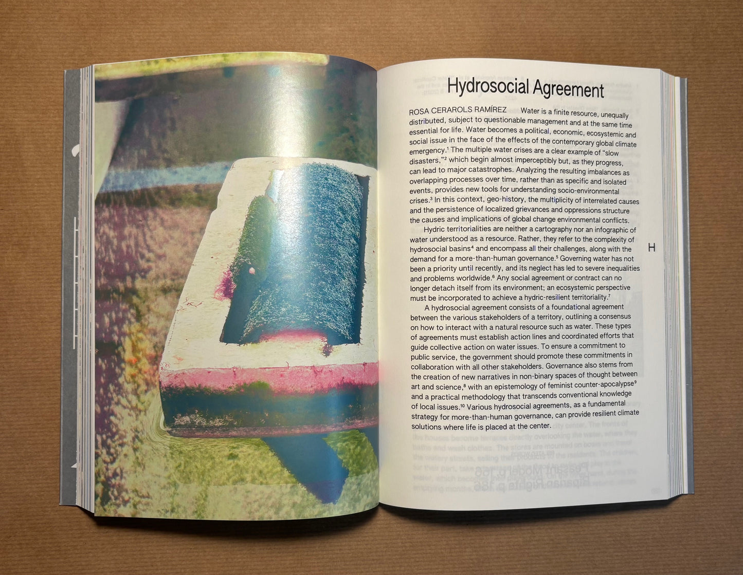 100 Words for Water: A Projective Ecosocial Vocabulary