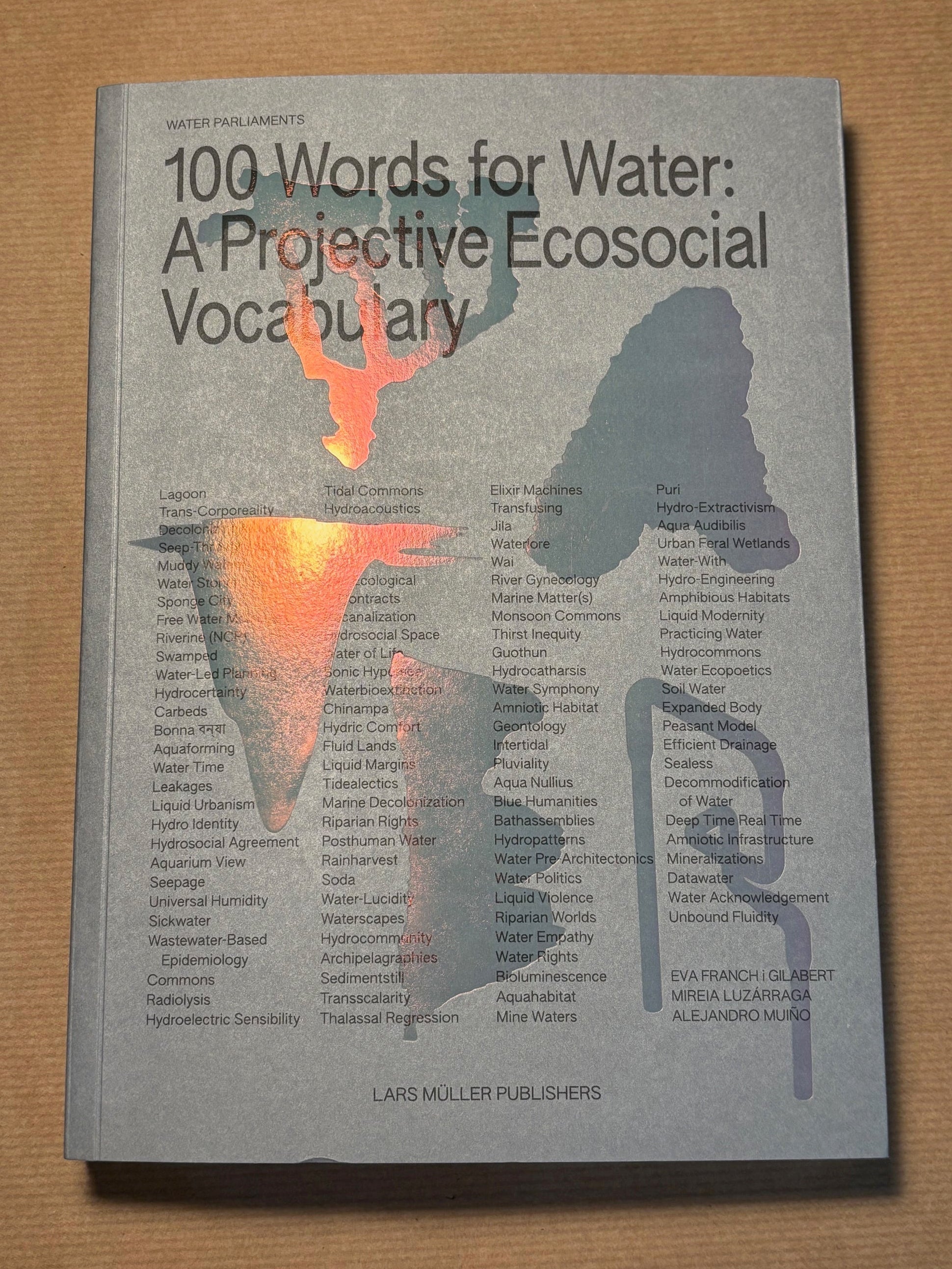 100 Words for Water: A Projective Ecosocial Vocabulary