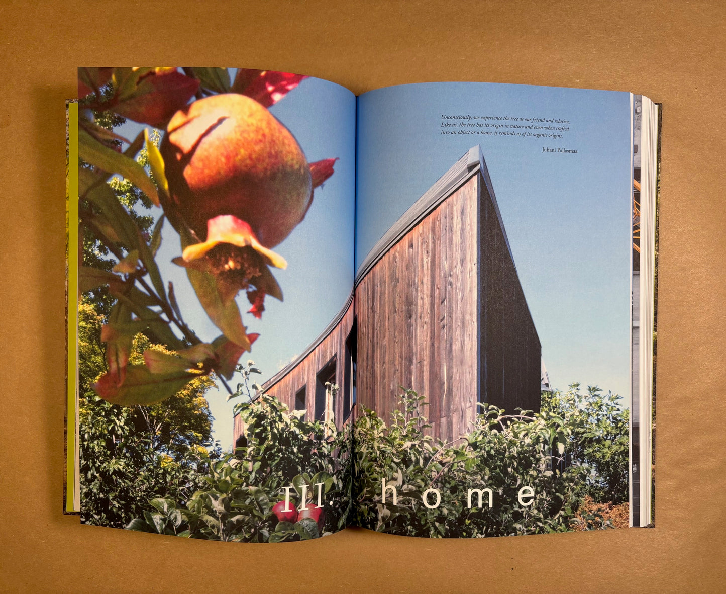 Light on Wood : Designing for Mass Timber