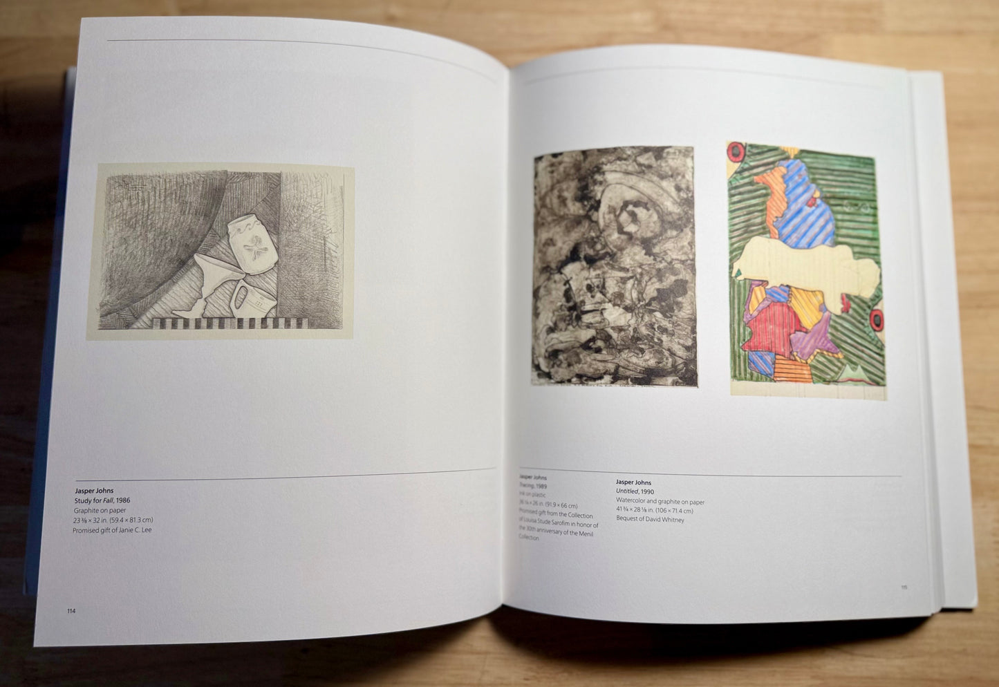 Drawing Is Everything: Founding Gifts of the Menil Drawing Institute