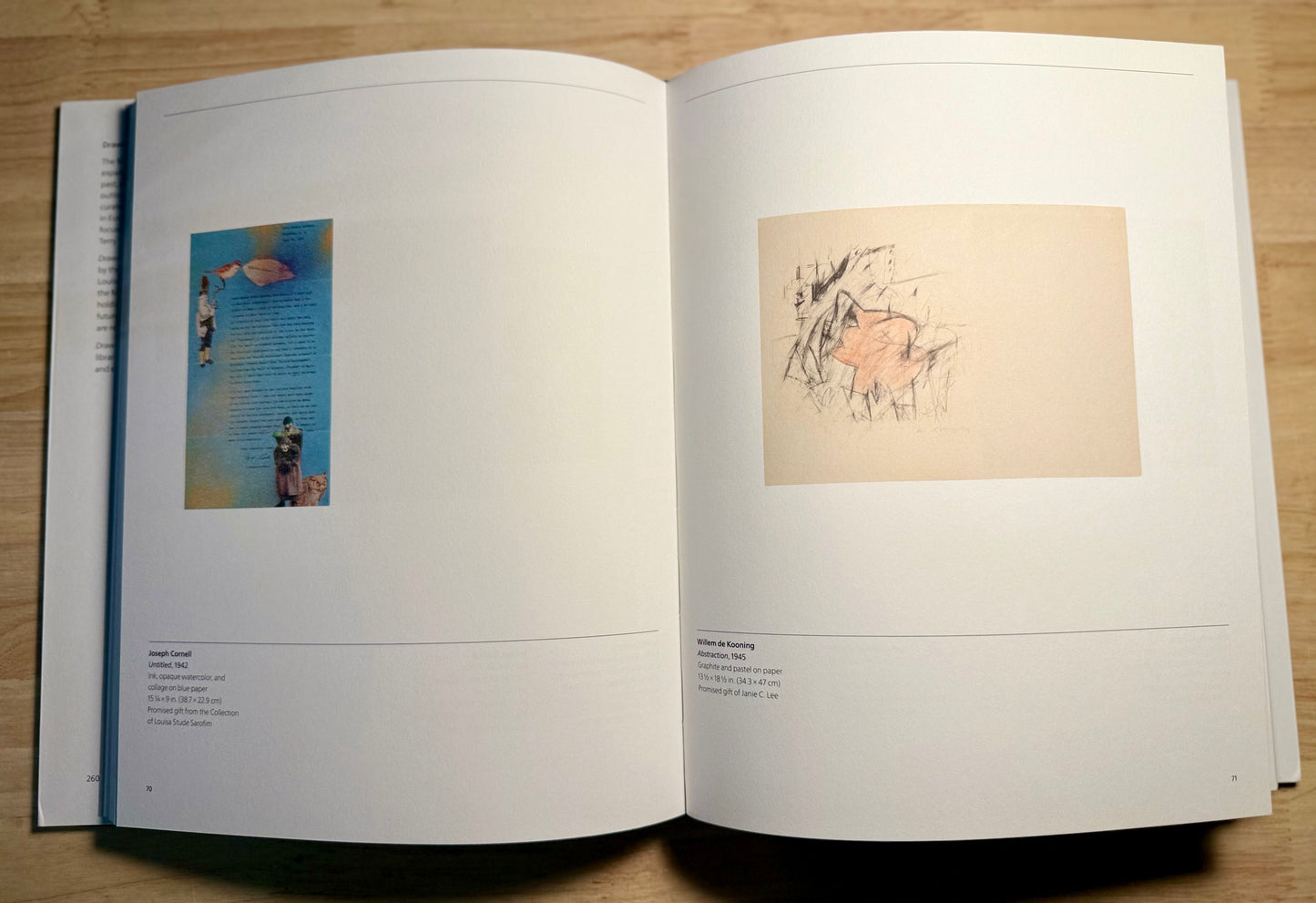 Drawing Is Everything: Founding Gifts of the Menil Drawing Institute