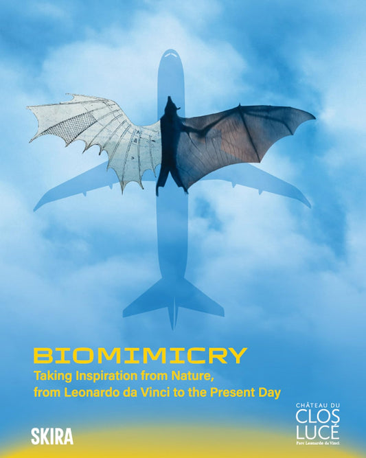 Biomimicry: Taking Inspiration from Nature, from Leonardo da Vinci to the Present Day