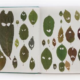 Book Of Plants (new edition) - Anne Geene