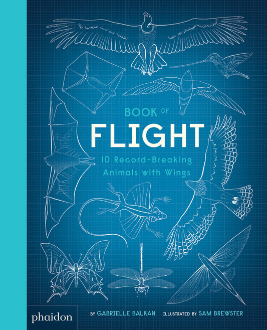 Book of Flight: 10 Record Breaking Animals with Wings