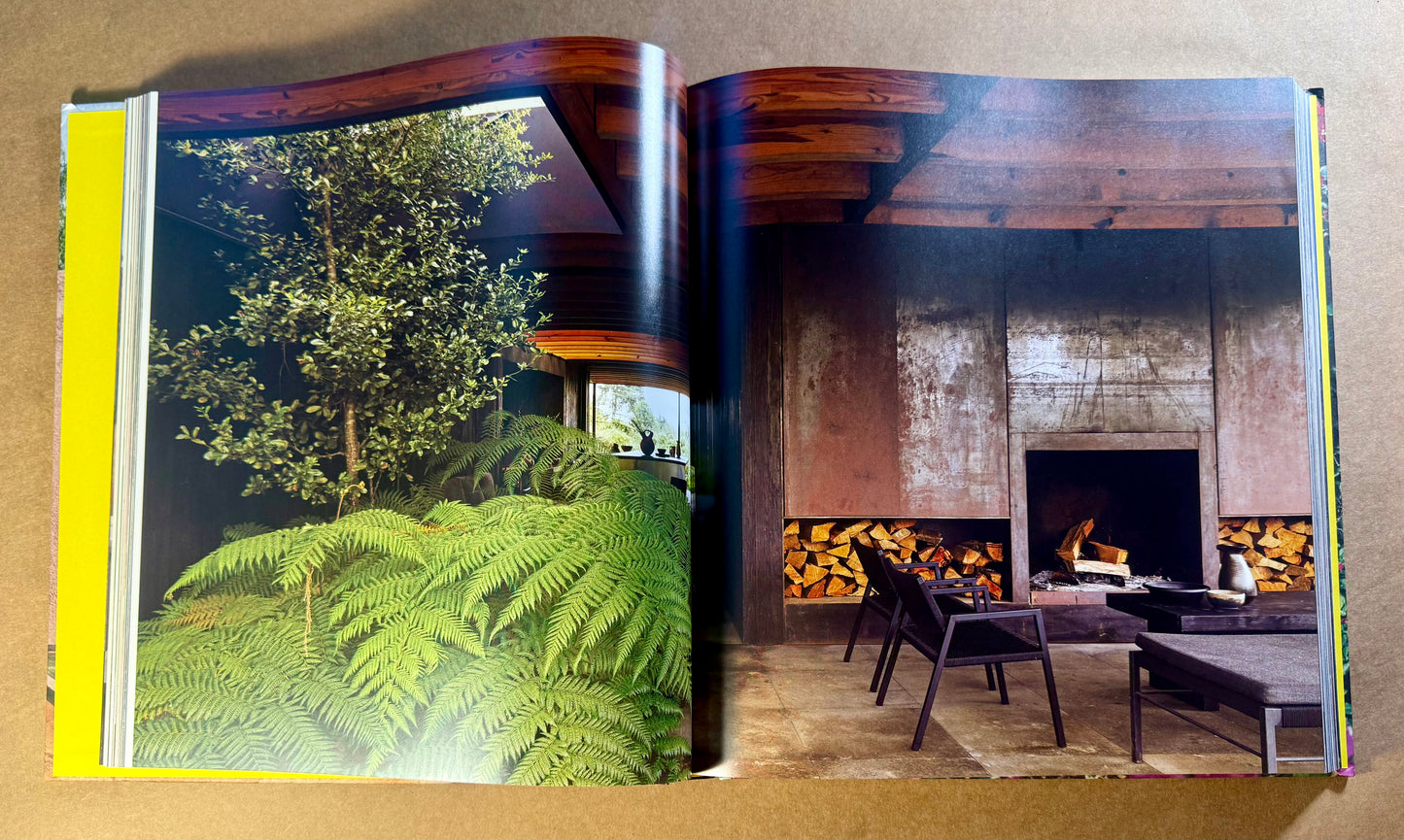 Mexico Modern : Architecture and Interiors