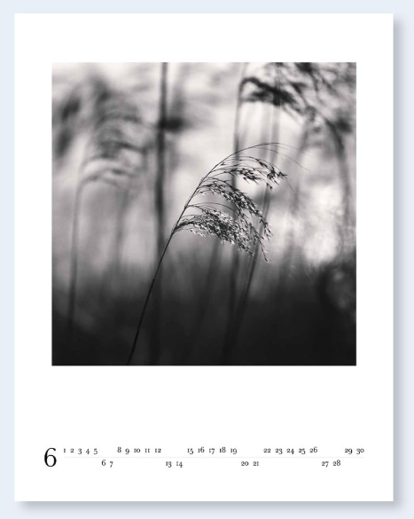 Michael Kenna 2026 Calendar - Nazraeli Press