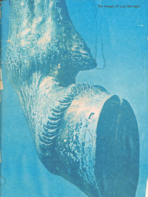 Images of Luis Barragán, editors Roger Willems and Mark Manders