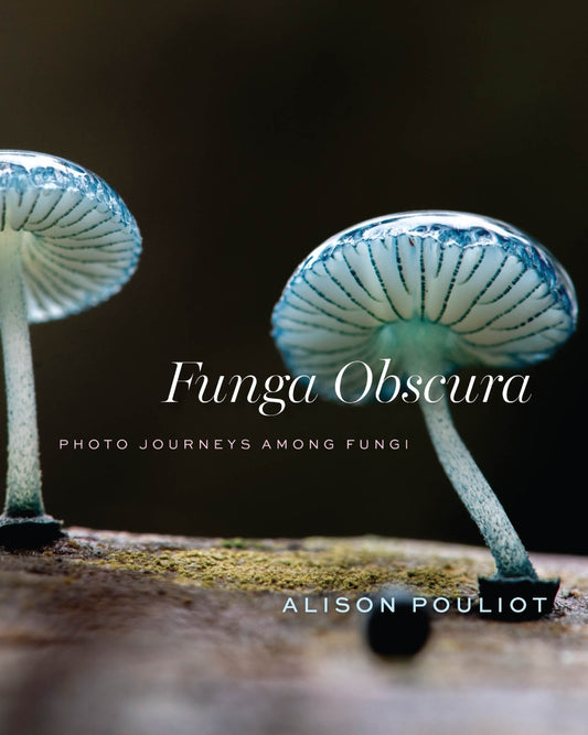 Funga Obscura: Photo Journeys Among Fungi - Alison Pouliot
