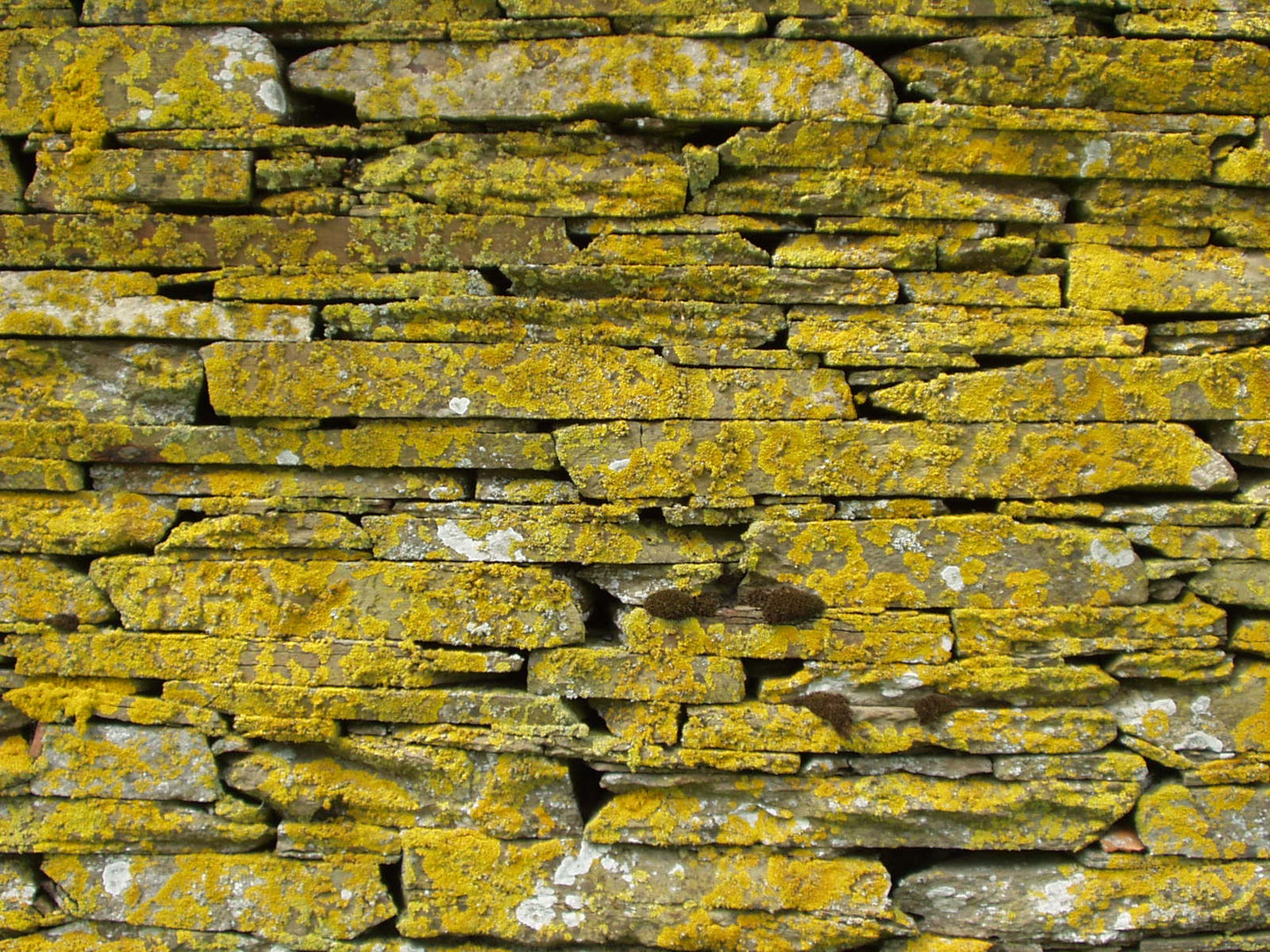 Drystone -a gathering of terminology and technique