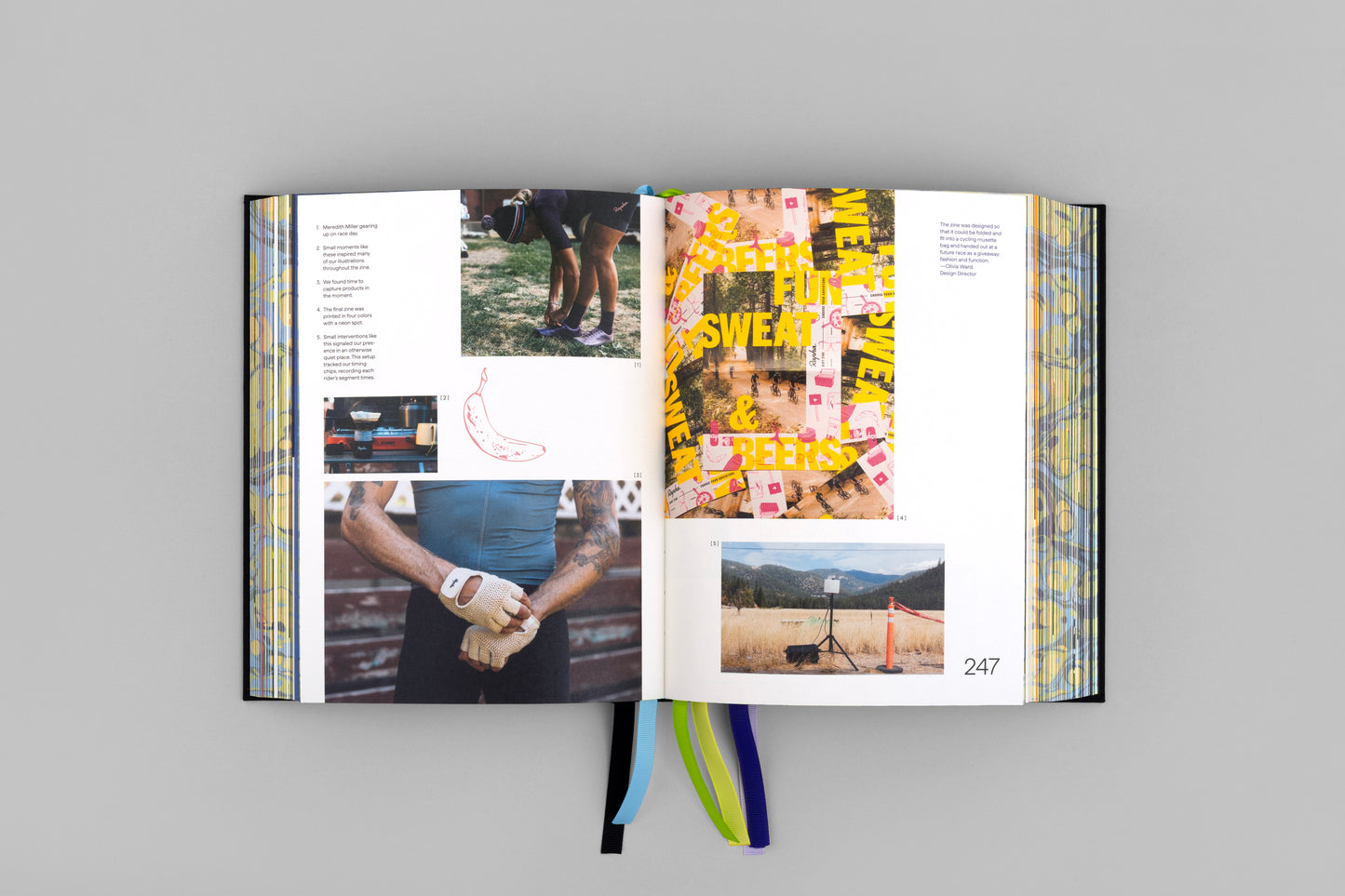 Hybrid Design; Curiosity in All Things