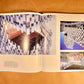 Kengo Kuma: New Works