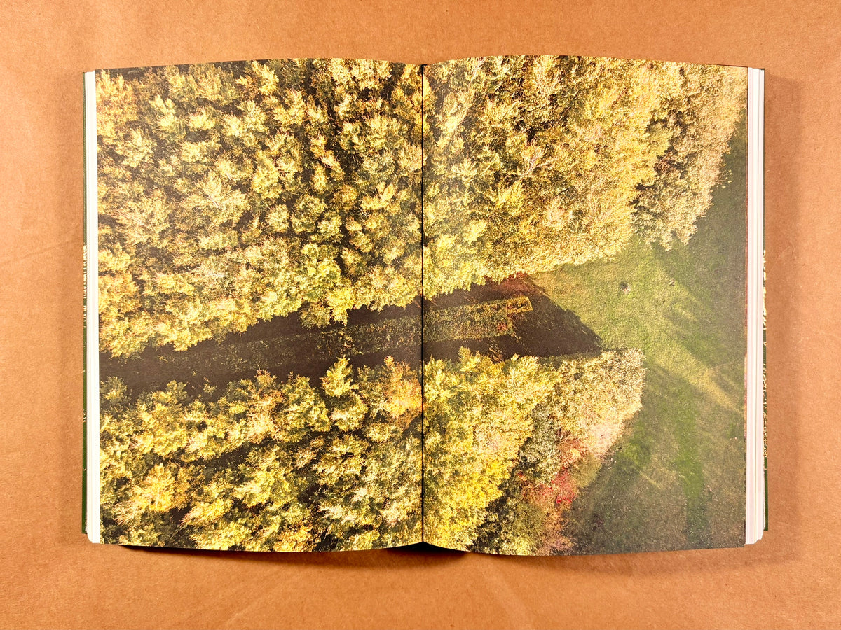 Woods go Urban: Three Landscape Laboratories in Scandinavia