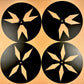 The Color Star