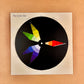 The Color Star