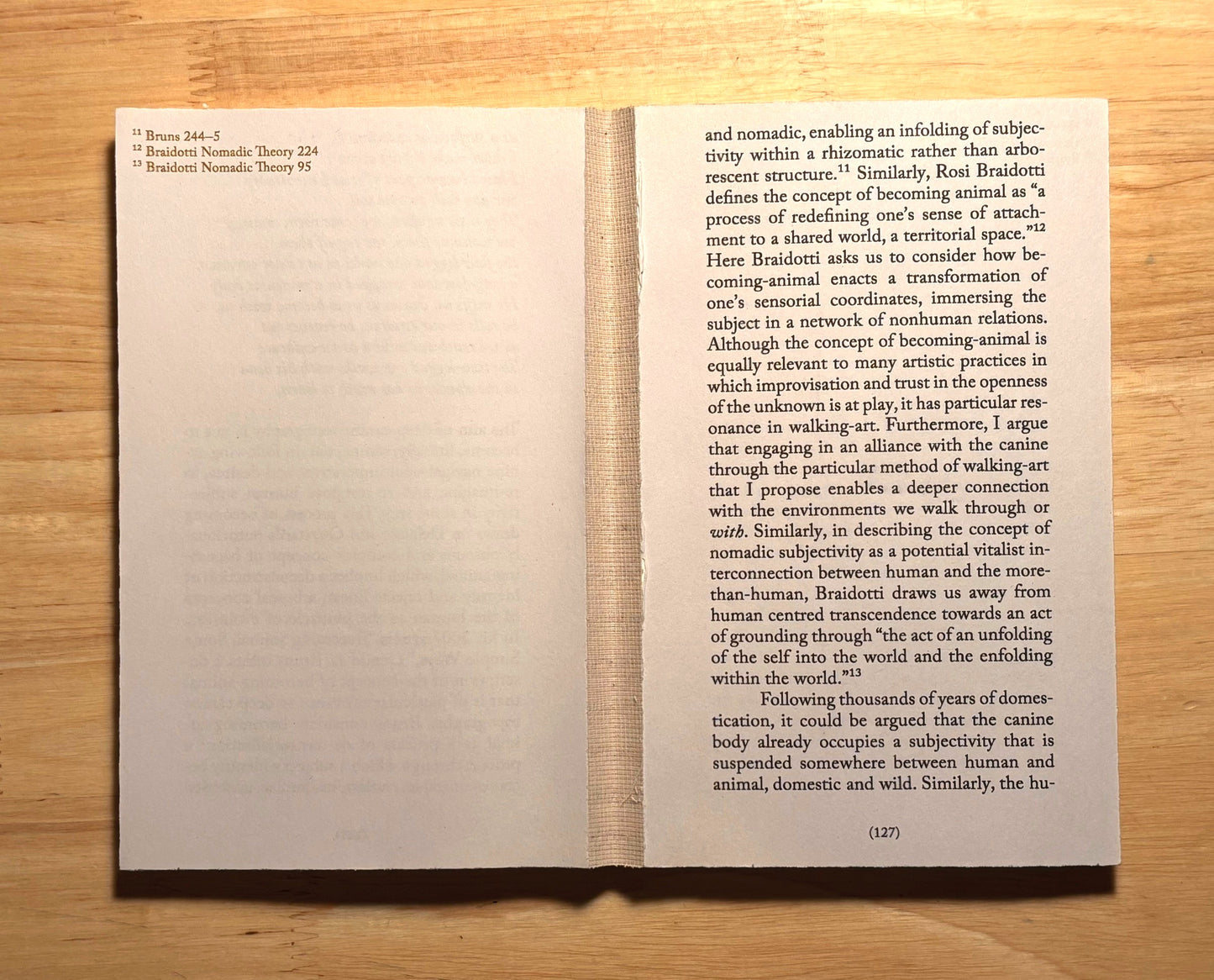 Walking as Research Practice