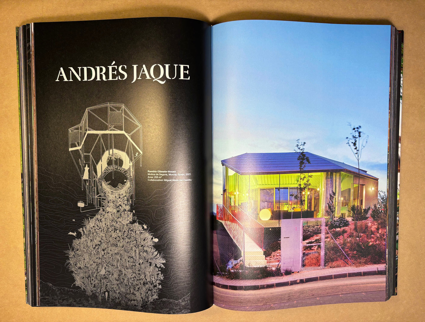 Homes for our Time: Sustainable Living