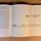 Montessori Architecture - A Design Instrument for Schools