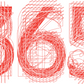 365 Typography Calendar 2025 wall size