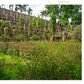 Spaces of Belonging: the Architecture of Muzharul Islam