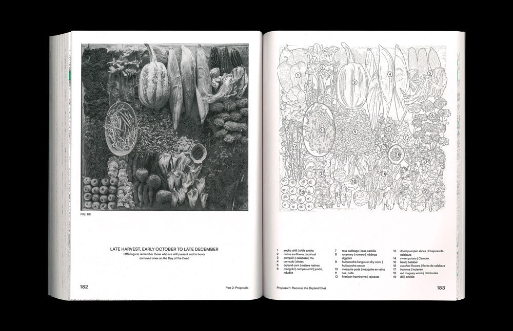 Thinking Through Soil: Wastewater Agriculture in the Mezquital Valley