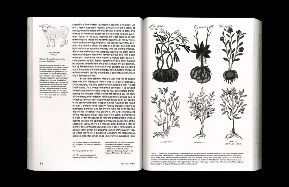 Thinking Through Soil: Wastewater Agriculture in the Mezquital Valley