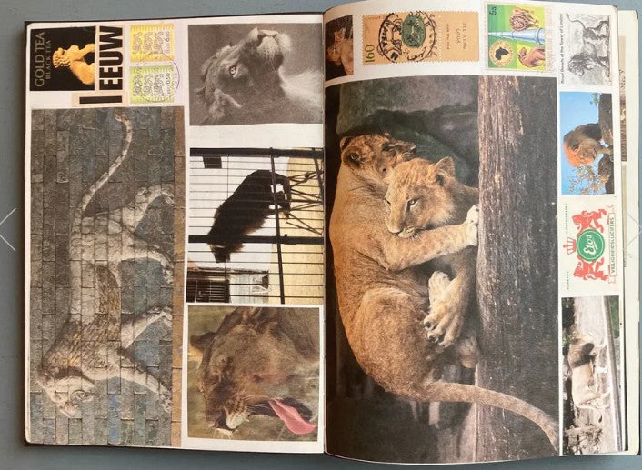 Lous Martens Animal Books for Jaap, Zeno, Anna, Julian, Luca