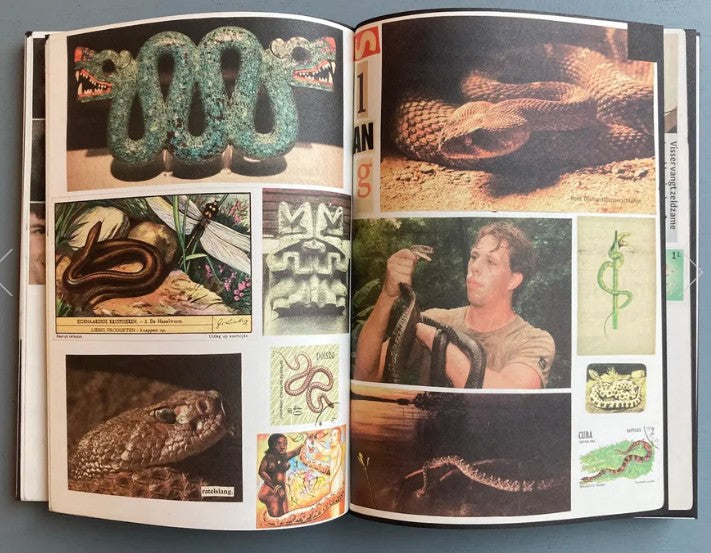 Lous Martens Animal Books for Jaap, Zeno, Anna, Julian, Luca