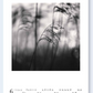 Michael Kenna 2026 Calendar - Nazraeli Press