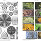 On the Necessity of Gardening: An ABC of Art, Botany, and Cultivation
