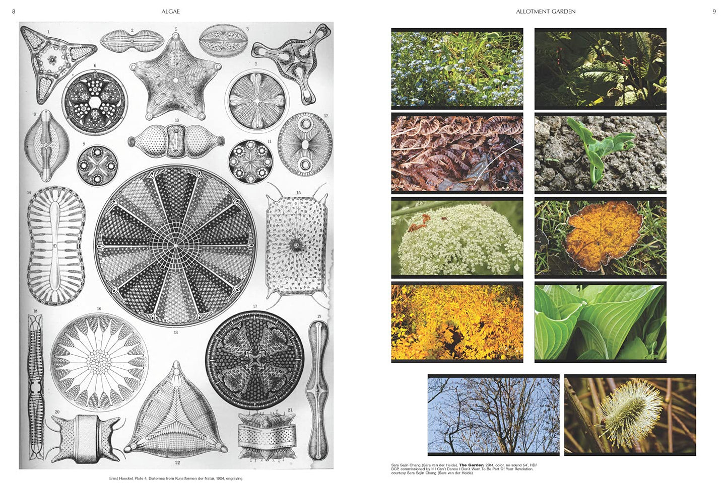 On the Necessity of Gardening: An ABC of Art, Botany, and Cultivation