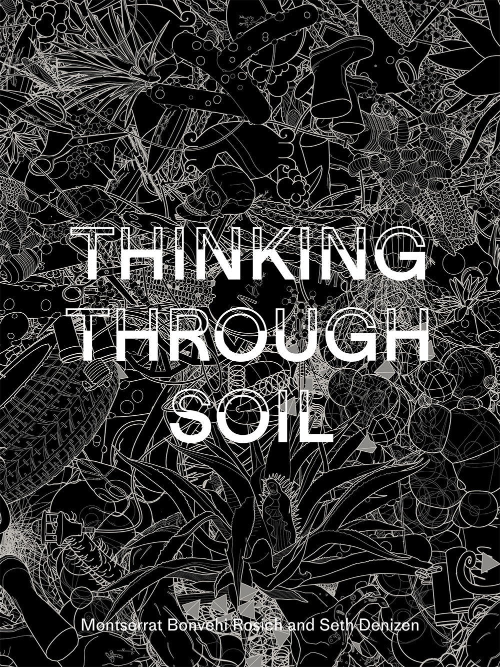 Thinking Through Soil: Wastewater Agriculture in the Mezquital Valley