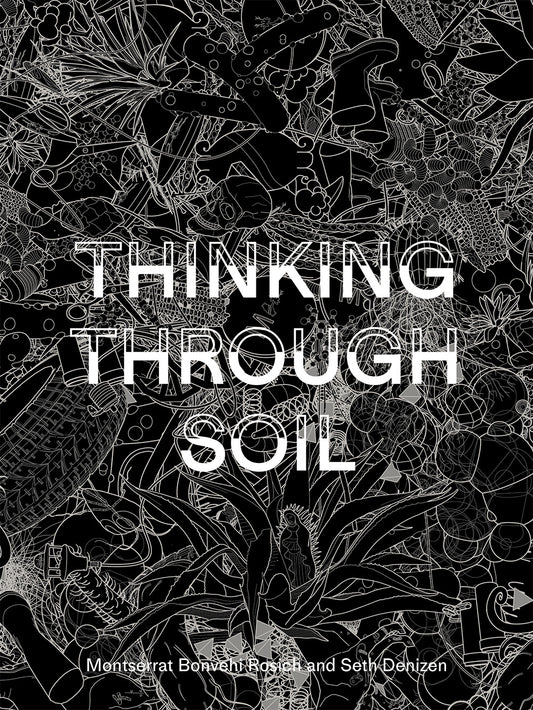 Thinking Through Soil: Wastewater Agriculture in the Mezquital Valley