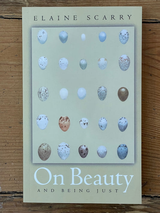 On Beauty and Being Just